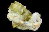 Lustrous, Yellow, Cubic Fluorite Crystal Cluster - Morocco #104603-2